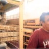 Carmadi, Sukses Budidaya Burung Puyuh 